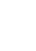 ICON STRATEGIC business