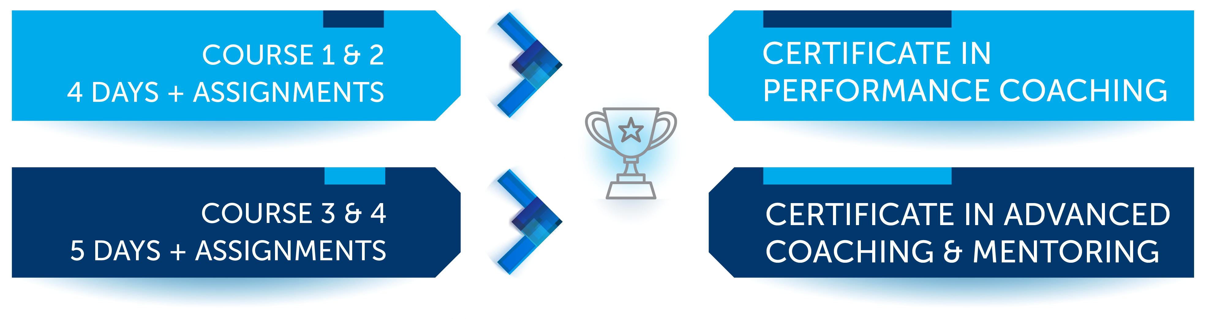 coaching course roadmap